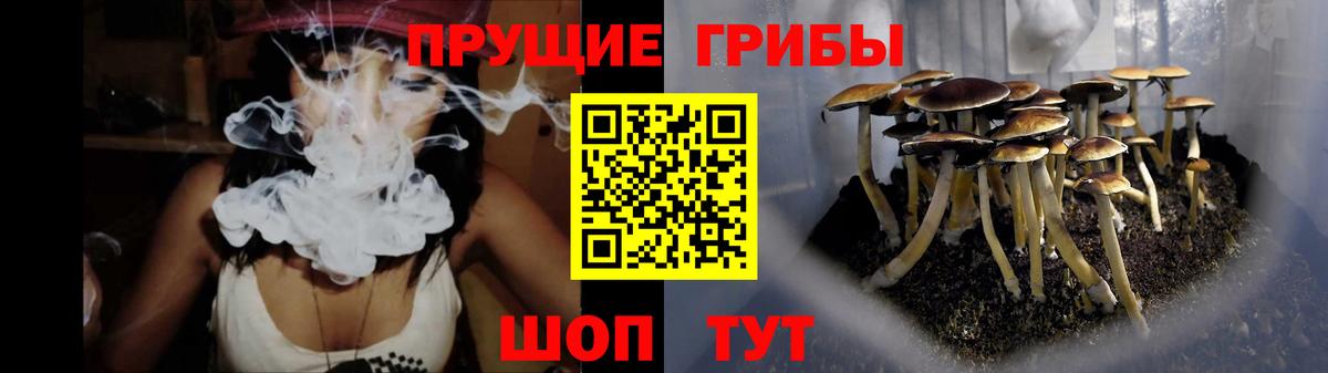 Галлюциногенные грибы Cubensis  Вход с VPN  Шелехов 