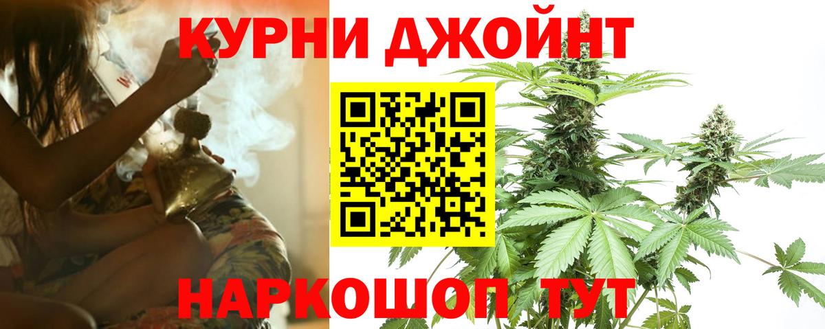Шелехов  Каннабис сатива  Шишки марихуана планчик  Вход с VPN  Шишки марихуана AK-47  Марихуана Amnesia 